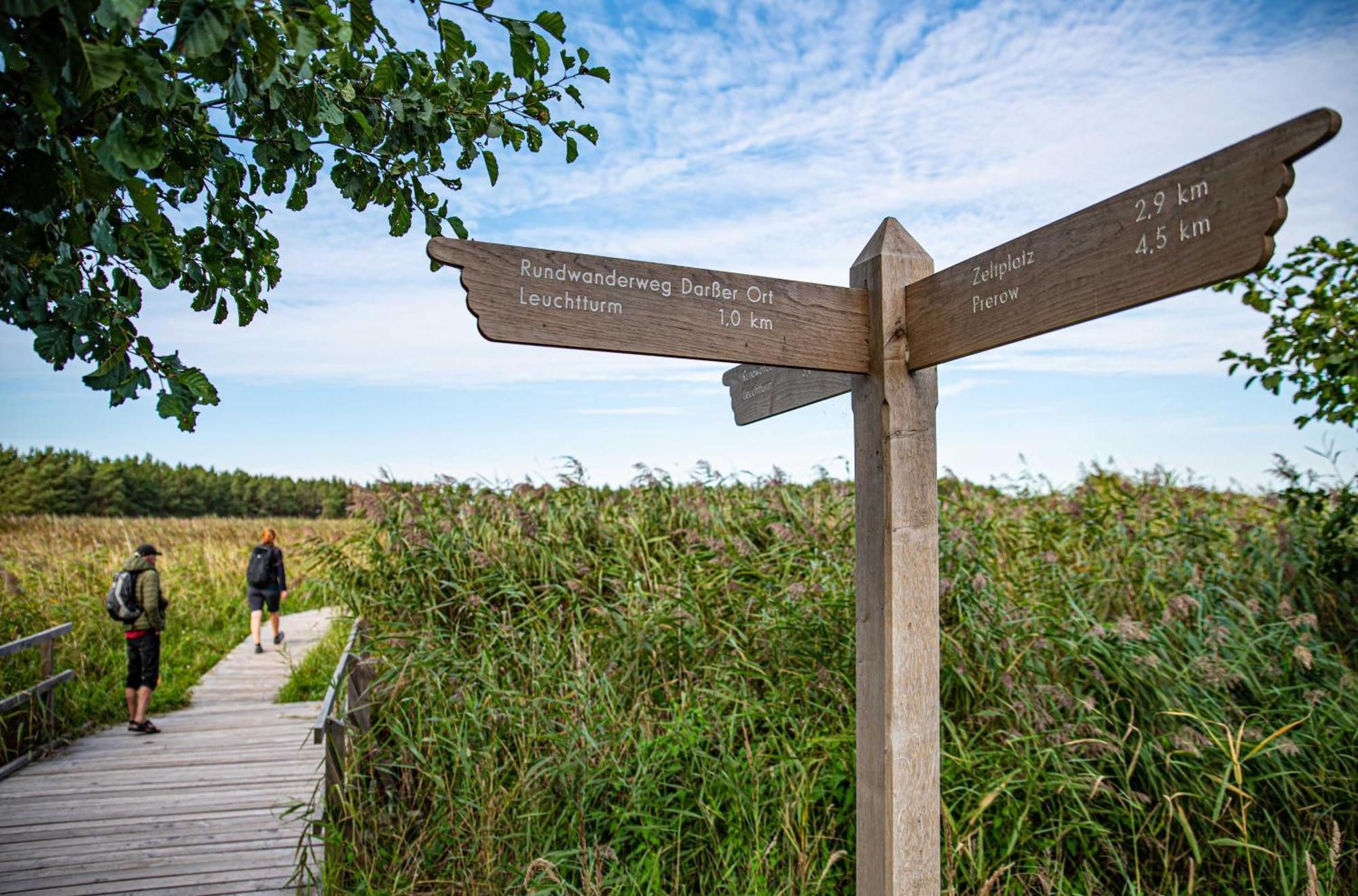 Strandhafer An Der Seebruecke Zingst Ngoại thất bức ảnh
