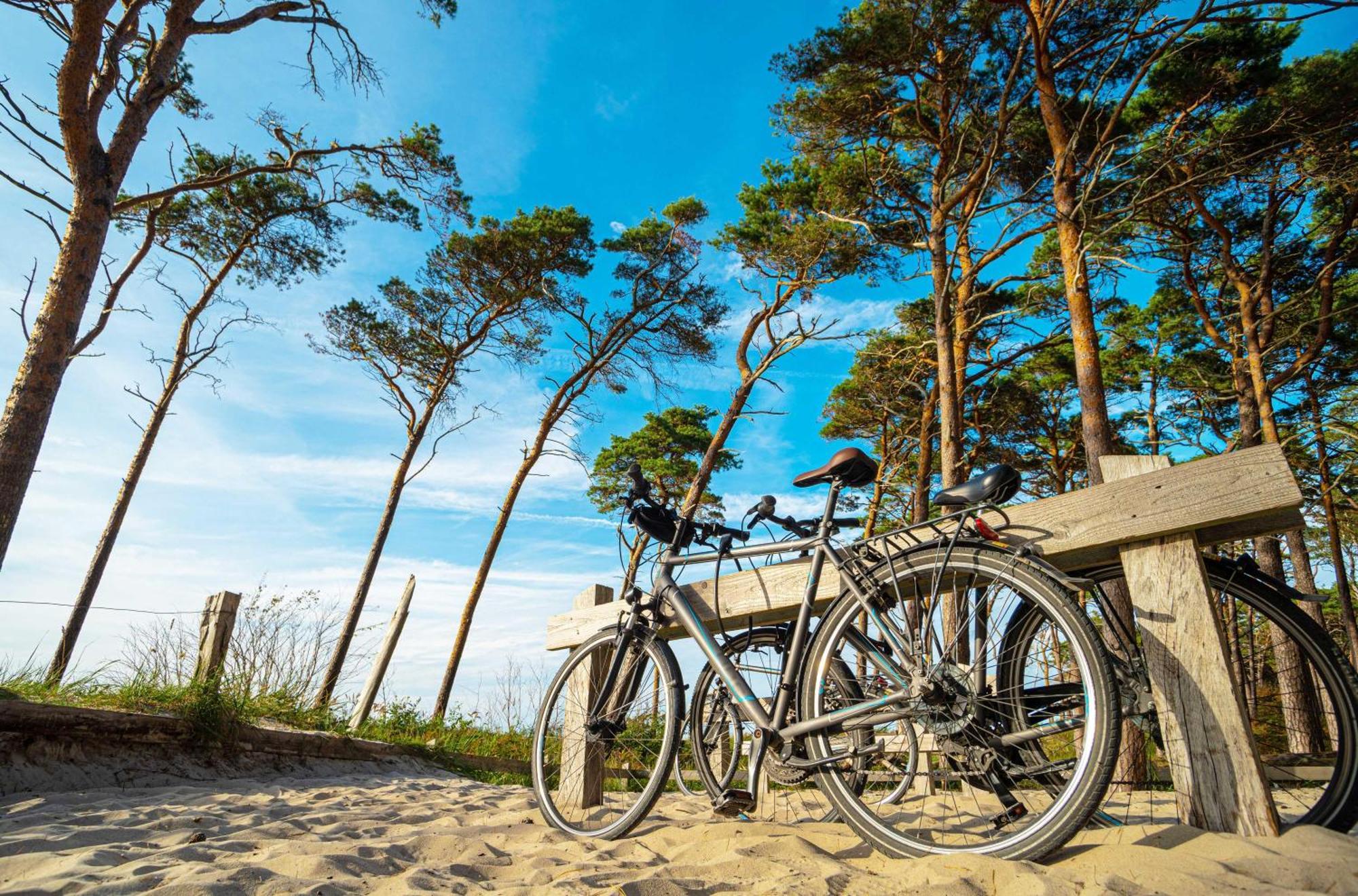Strandhafer An Der Seebruecke Zingst Ngoại thất bức ảnh