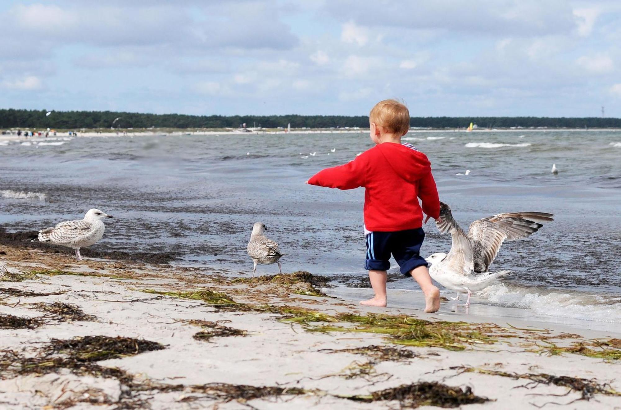Strandhafer An Der Seebruecke Zingst Ngoại thất bức ảnh